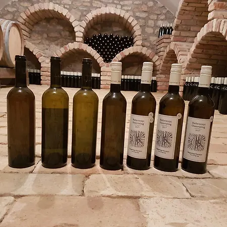 Casa vacanze Grand Cru 3. Hegymagas