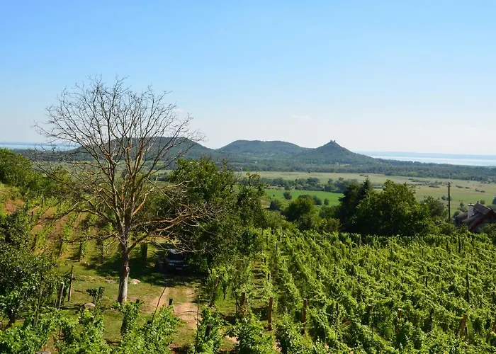 Grand Cru 3. Vendeghaz * Hegymagas