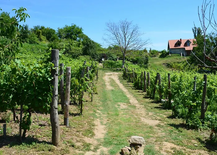 Grand Cru 3. Vendeghaz Case de vacanță Hegymagas